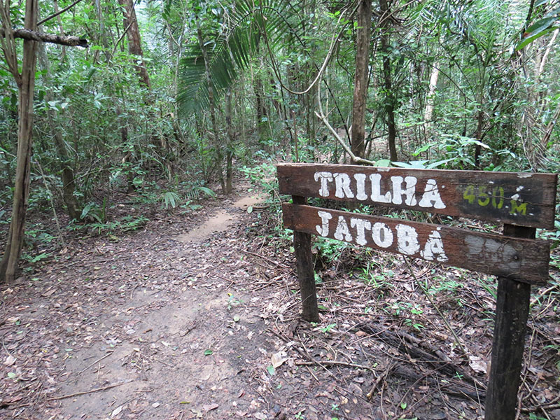 TRILHA JATOBA